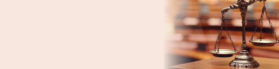 離婚.家事解決事例